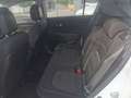 Kia Sportage Attract 2WD Weiß - thumbnail 7