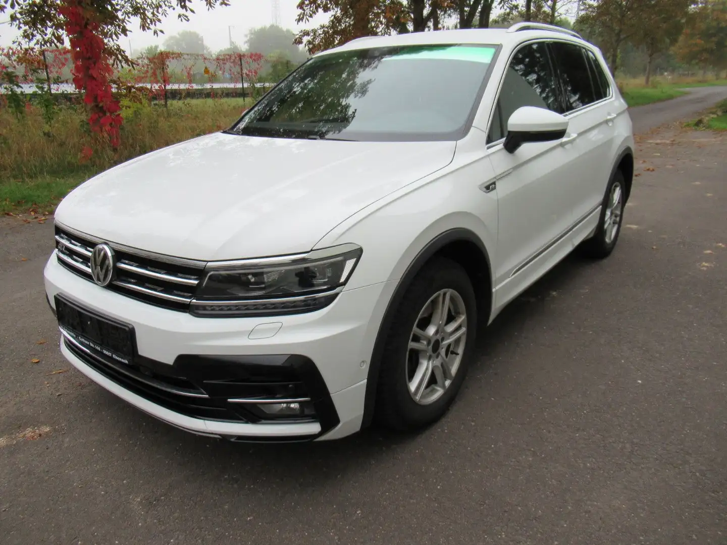 Volkswagen Tiguan 2.0 TDI DSG 4MOTION R-Line ACC/4xSHZ Weiß - 1