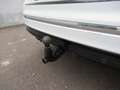 Volkswagen Tiguan 2.0 TDI DSG 4MOTION R-Line ACC/4xSHZ Weiß - thumbnail 9