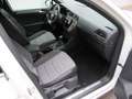 Volkswagen Tiguan 2.0 TDI DSG 4MOTION R-Line ACC/4xSHZ Weiß - thumbnail 11