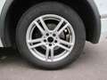 Volkswagen Tiguan 2.0 TDI DSG 4MOTION R-Line ACC/4xSHZ Weiß - thumbnail 8