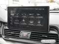 Audi Q5 40 TDI qu. S tronic 2x S line AHK/Navi+/Kamer Grau - thumbnail 16