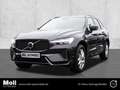 Volvo XC60 Plus Dark Recharge Plug-In Hybrid AWD T8 Twin Engi Grau - thumbnail 1