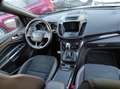 Ford Kuga ST-Line ABSTANDSTEMPOMAT+NAVI+TOP ZUSTAND Gris - thumbnail 13