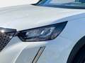 Peugeot 2008 PureTech 100 S&S Allure 6-Gang-Manuell Weiß - thumbnail 7