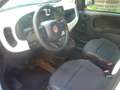 Fiat Panda Cross Pandina 1.0 FireFly Hybrid 5P Nuovo Modell Blanc - thumbnail 14