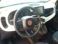 Fiat Panda Cross Pandina 1.0 FireFly Hybrid 5P Nuovo Modell Blanc - thumbnail 15