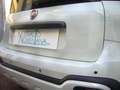 Fiat Panda Cross Pandina 1.0 FireFly Hybrid 5P Nuovo Modell Blanc - thumbnail 11