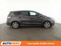 Ford S-Max 2.0 TDCi Bi-Turbo Titanium Aut.*NAVI*LED*TEMPO*PDC Grau - thumbnail 7