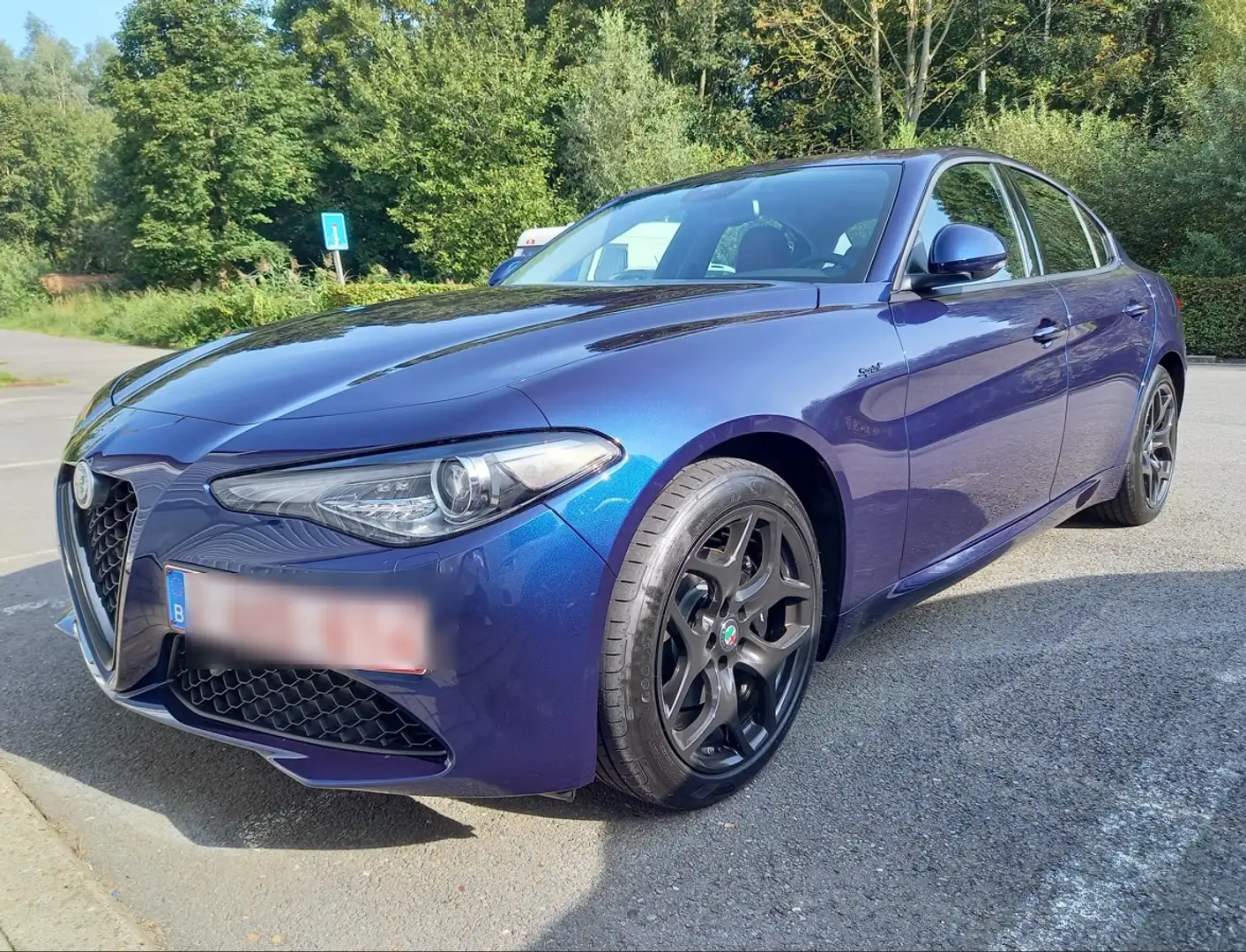 Alfa Romeo Giulia Giulia 2.2 Diesel AT8 Blauw - 2