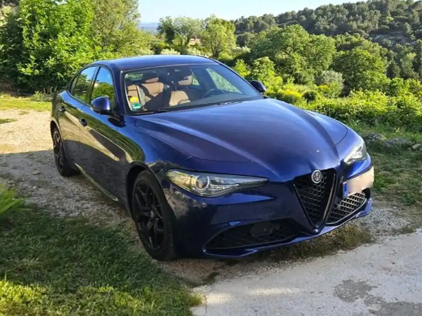 Alfa Romeo Giulia Giulia 2.2 Diesel AT8 Blauw - 1