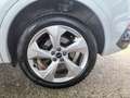 Audi Q5 Q5 40 2.0 tdi mhev S line Plus quattro s-tronic Blanc - thumbnail 19