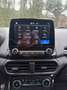 Ford EcoSport EcoSport 1.0 ecoboost Titanium s NESSUN VINCOLO Grigio - thumbnail 9