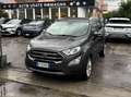 Ford EcoSport EcoSport 1.0 ecoboost Titanium s NESSUN VINCOLO Grigio - thumbnail 3