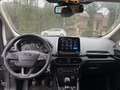 Ford EcoSport EcoSport 1.0 ecoboost Titanium s NESSUN VINCOLO Grigio - thumbnail 7