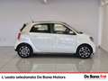 smart forFour 1.0 passion 71cv Wit - thumbnail 6