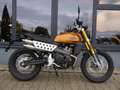 Fantic Caballero 500 Scrambler / Deluxe / Rally - 2025 - thumbnail 3