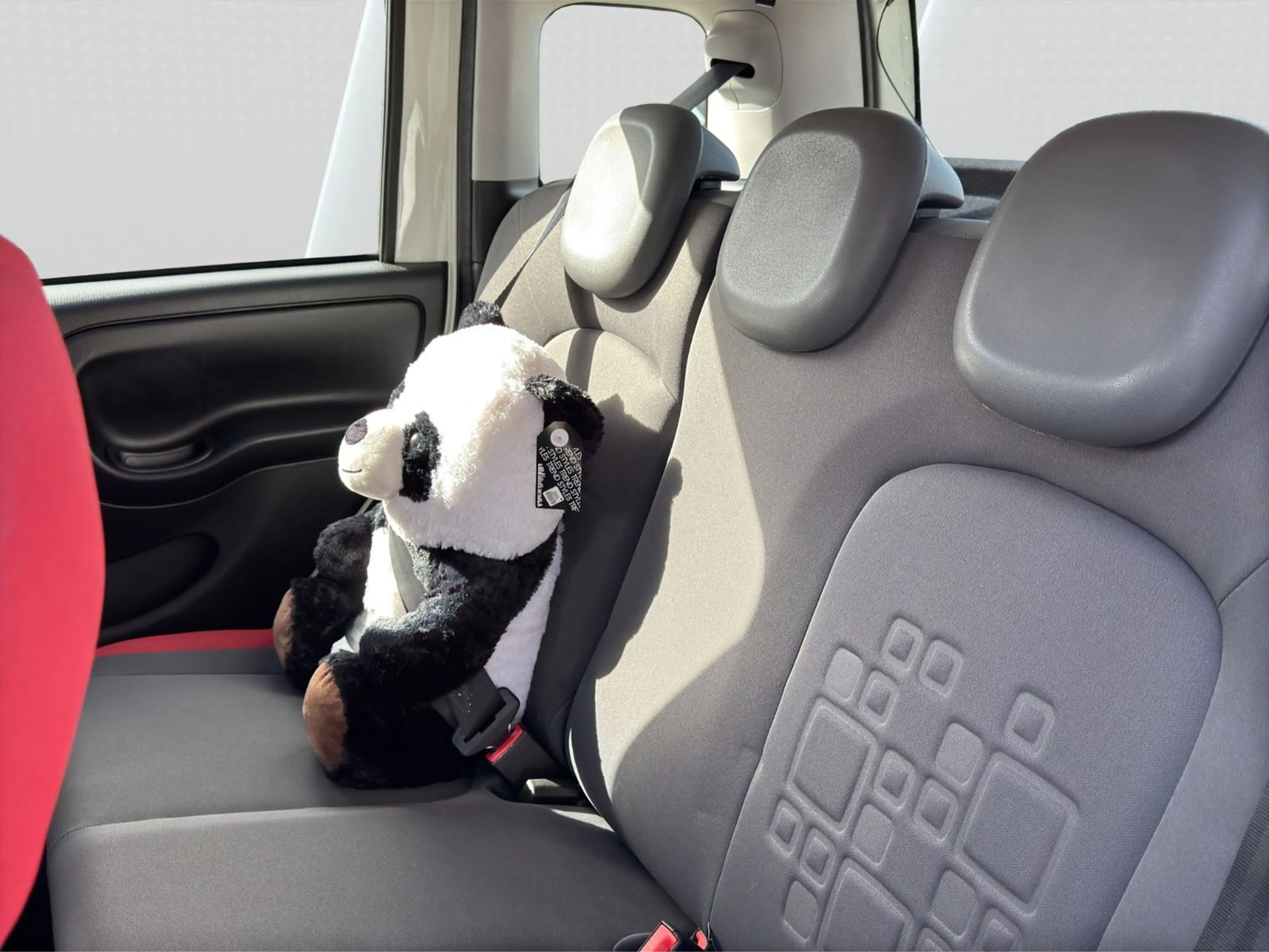 Fiat New Panda 1.2 8V LOUNGE, wenig KM, Blue & Me — photo 15
