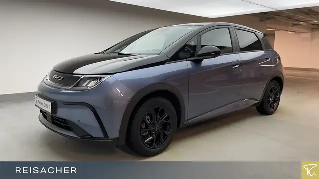 BYD Dolphin Dolphin Design Autom