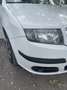 Skoda Fabia Fabia 1.4 TDI Combi Cool Edition Weiß - thumbnail 9