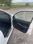 Skoda Fabia Fabia 1.4 TDI Combi Cool Edition Weiß - thumbnail 4