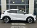 Ford Puma 1.0 EcoBoost Hybrid 125ch Titanium S\u0026S Grau - thumbnail 4