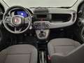 Fiat Panda 1.0i MHEV City Life CLIM / PDC AR Bleu - thumbnail 8