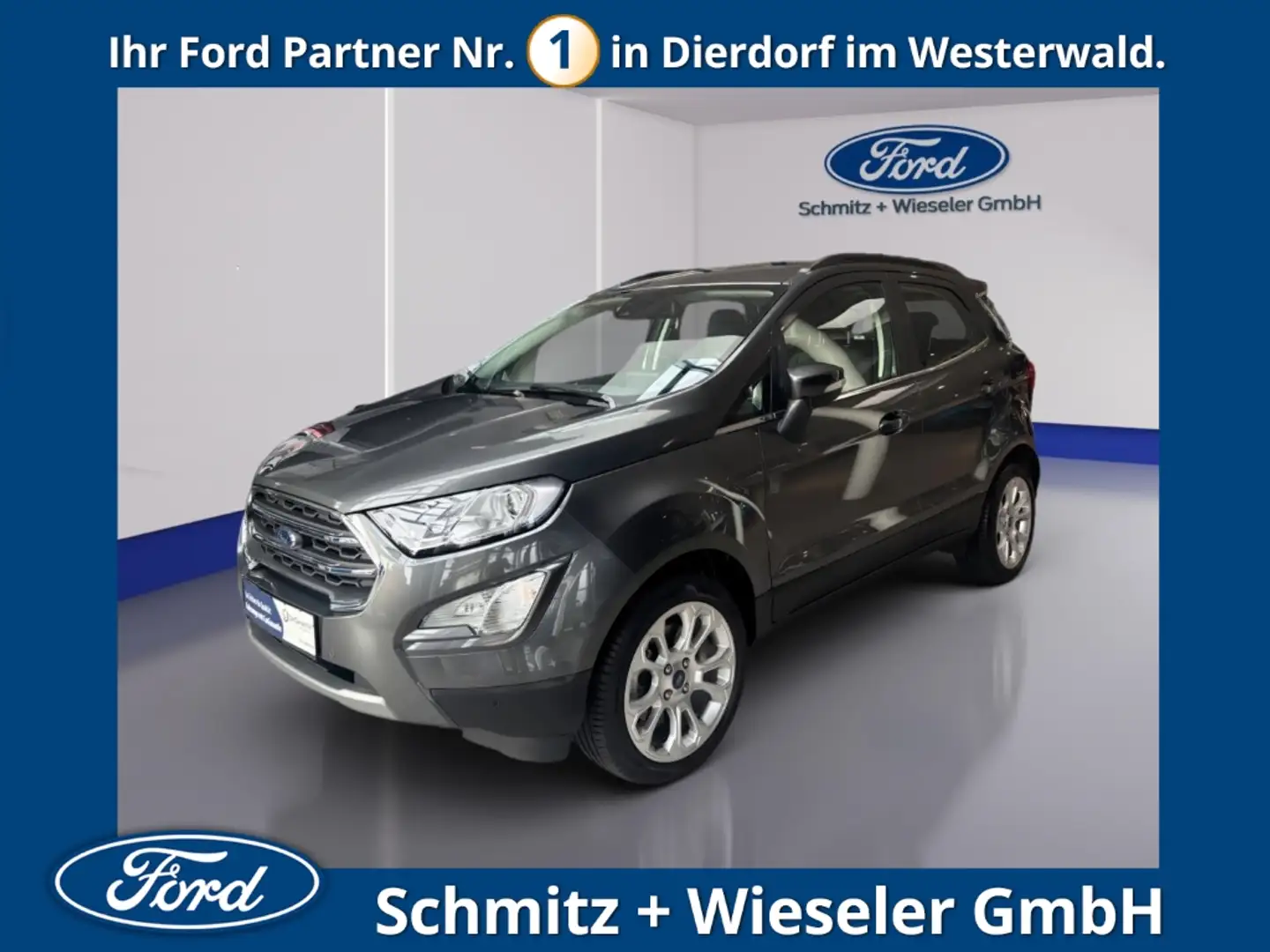 Ford EcoSport Titanium 1.0 EU6d, NAVI, Totwinkel, Gris - 1