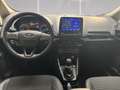 Ford EcoSport Titanium 1.0 EU6d, NAVI, Totwinkel, Gris - thumbnail 19