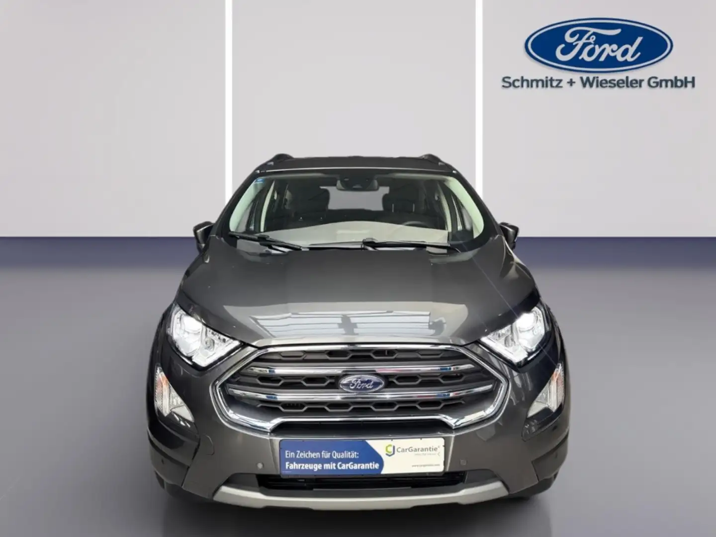 Ford EcoSport Titanium 1.0 EU6d, NAVI, Totwinkel, Gris - 2