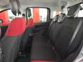 Fiat Panda Panda III 2016 1.3 mjt 16v Easy s - thumbnail 12