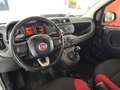 Fiat Panda Panda III 2016 1.3 mjt 16v Easy s - thumbnail 8