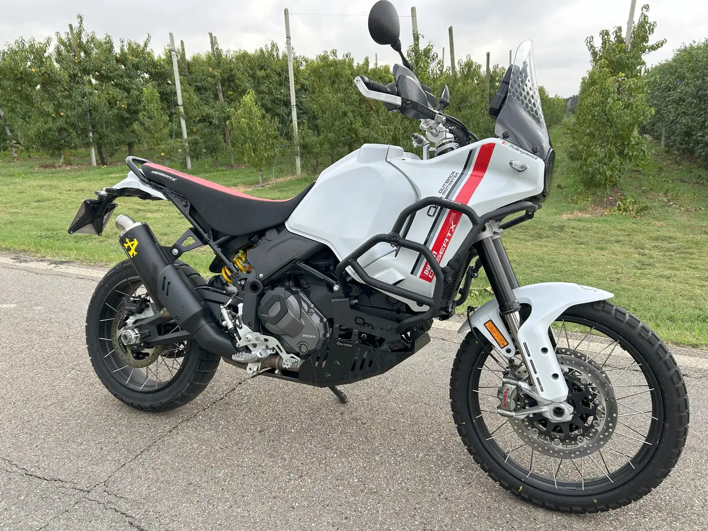 Ducati DesertX Weiß - 2