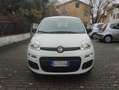 Fiat Panda Panda III 2021 1.0 firefly hybrid City Life s Bianco - thumbnail 2