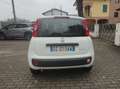 Fiat Panda Panda III 2021 1.0 firefly hybrid City Life s Bianco - thumbnail 5