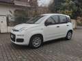 Fiat Panda Panda III 2021 1.0 firefly hybrid City Life s Bianco - thumbnail 1