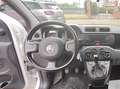 Fiat Panda Panda III 2021 1.0 firefly hybrid City Life s Bianco - thumbnail 10
