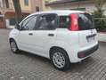Fiat Panda Panda III 2021 1.0 firefly hybrid City Life s Bianco - thumbnail 4