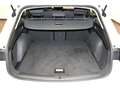 SEAT Leon ST 1.0 eTSI DSG Style CLIMATR/SITHZ/LED Weiß - thumbnail 9