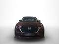 Mazda CX-80 3.3 e-Skyactiv-D MHEV Takumi Plus AWD Aut. Rojo - thumbnail 7