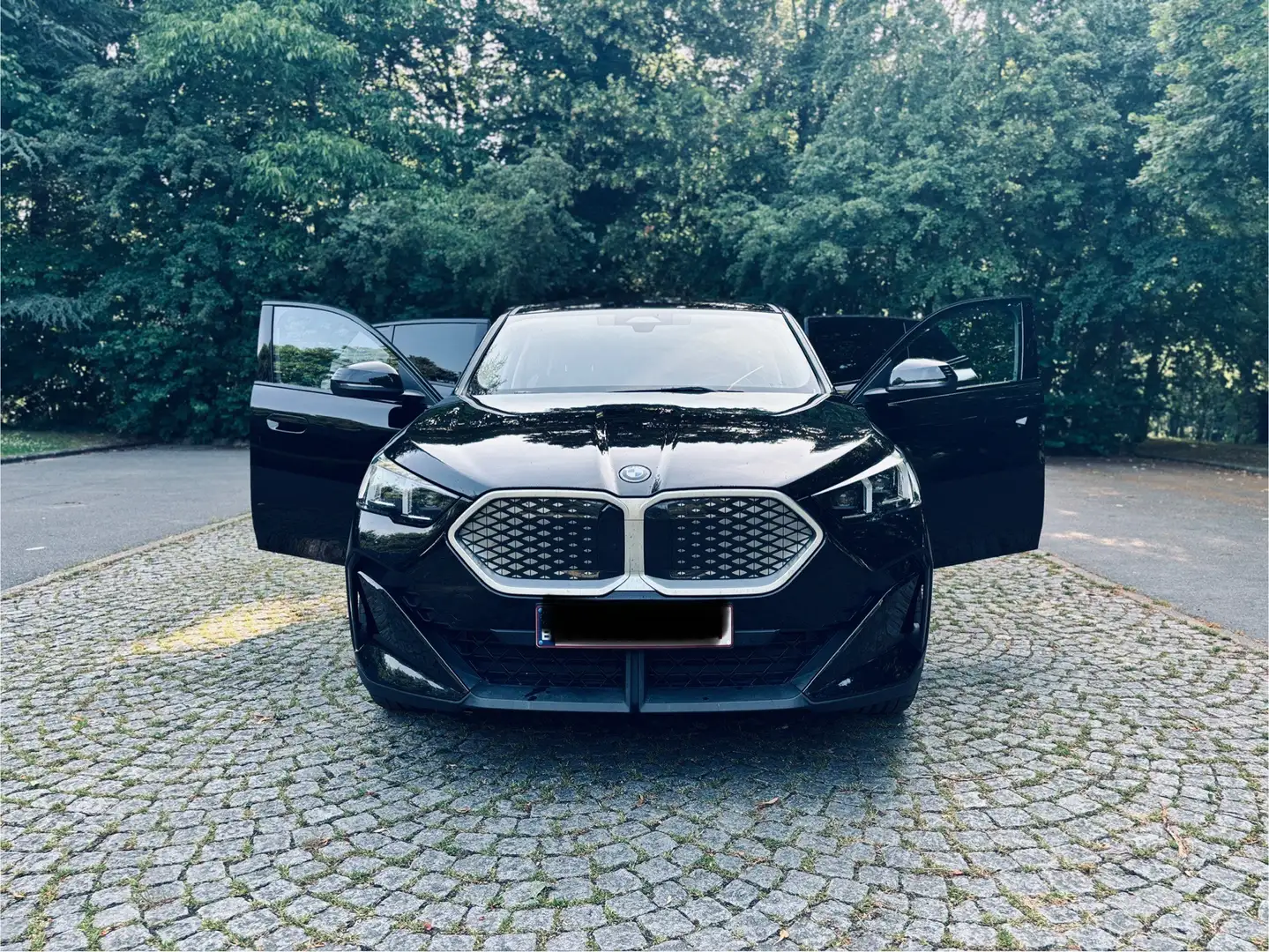 BMW iX2 66.5 kWh eDrive20 - 2