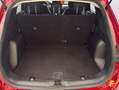 Ford Kuga 1.5 EcoBoost Titanium FWD 150 Rojo - thumbnail 10