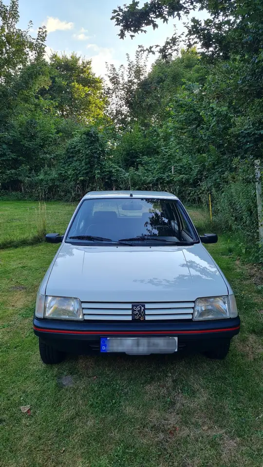 Peugeot 205 Look, foto 2