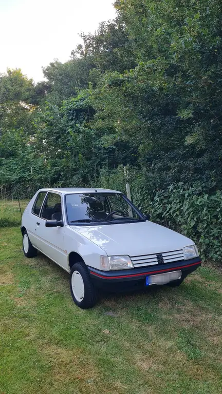 Peugeot 205 1991 из Европы — купить под ключ