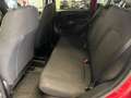 Fiat Panda 1.0 FireFly S&S Hybrid Rosso - thumbnail 15