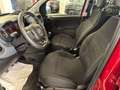 Fiat Panda 1.0 FireFly S&S Hybrid Rosso - thumbnail 10
