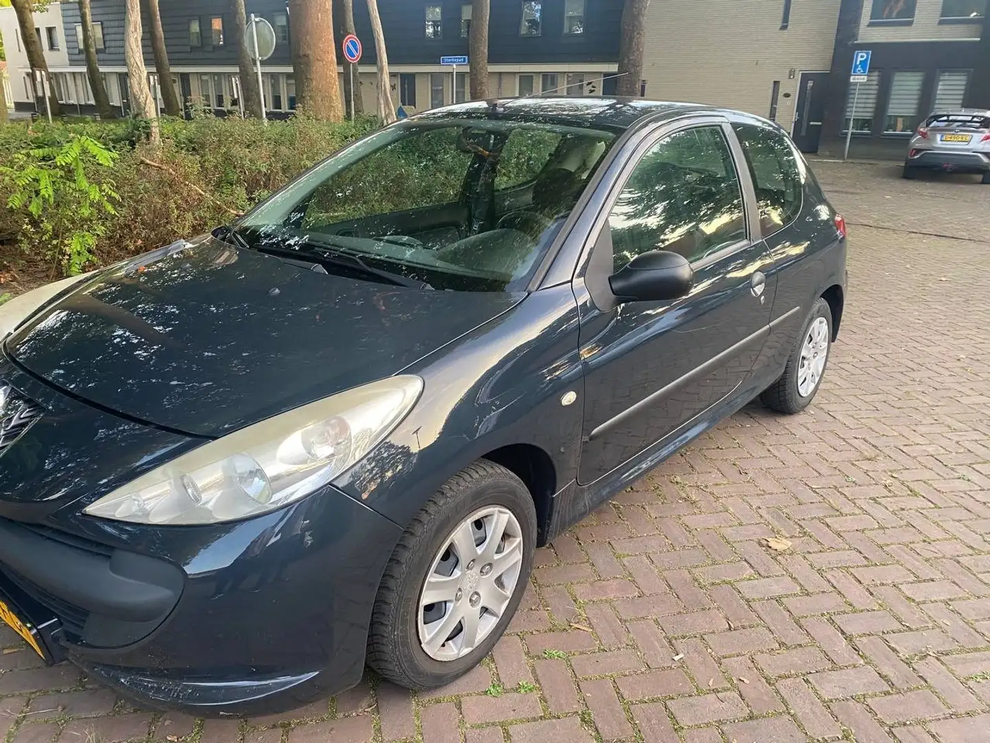 Peugeot 206 206+ 60 Серый - 1