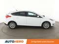 Ford Focus 1.6 Ti-VCT Titanium Aut.*TEMPO*PDC*SHZ*KLIMA* Weiß - thumbnail 7