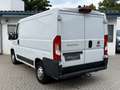 Fiat Ducato Kasten 30 130°Klima°Tempo°Kamera°3-Sitzer Weiß - thumbnail 4