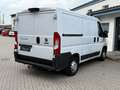 Fiat Ducato Kasten 30 130°Klima°Tempo°Kamera°3-Sitzer Weiß - thumbnail 3
